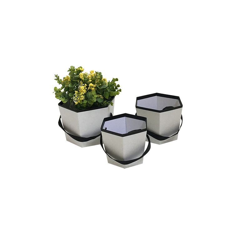 Juego de 3 Cubetas Hexagonales Pequeñas con Asa | Diseño Moderno | Para Mayoristas
