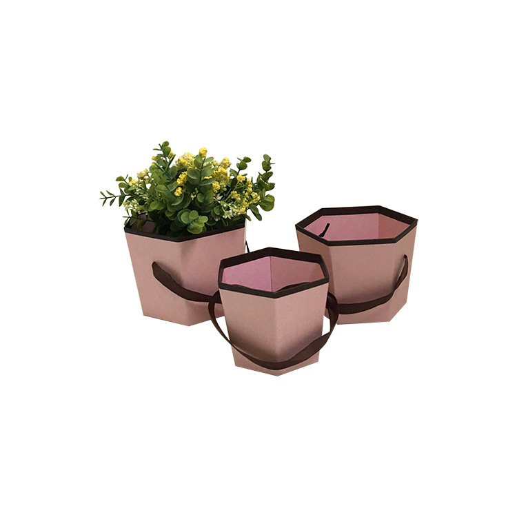 Juego de 3 Cubetas Hexagonales Pequeñas con Asa | Diseño Moderno | Para Mayoristas