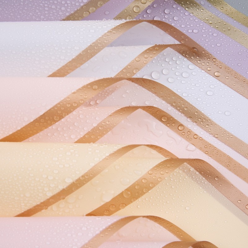 Film Translúcido para Envolver Flores con Borde Dorado - Papel Impermeable de Alta Gama para Bouquets - Fabricante para Venta al por Mayor (Mín. 50 Unidades)