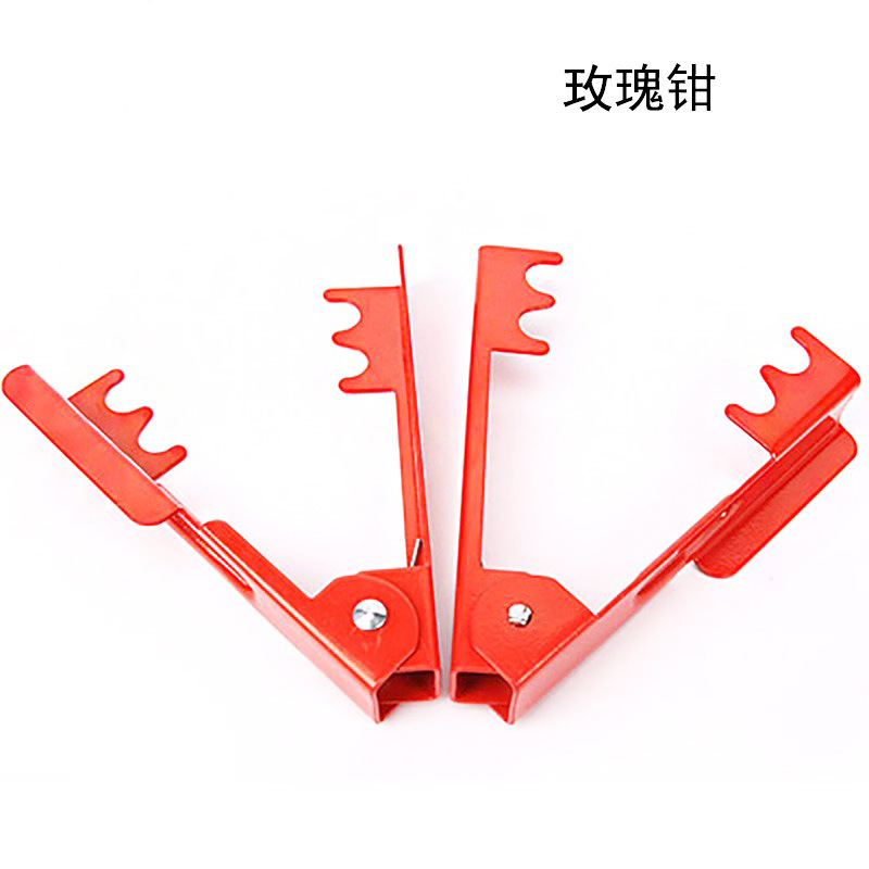 Kit Profesional Herramientas Flores: Desespinador + Podadora 