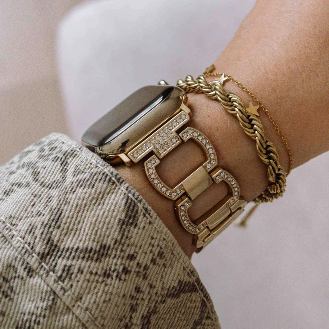 Echo Stainless Watch Apple Band