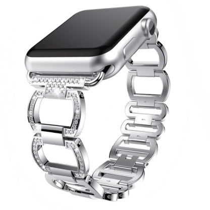 Echo Stainless Watch Apple Band