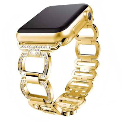 Echo Stainless Watch Apple Band