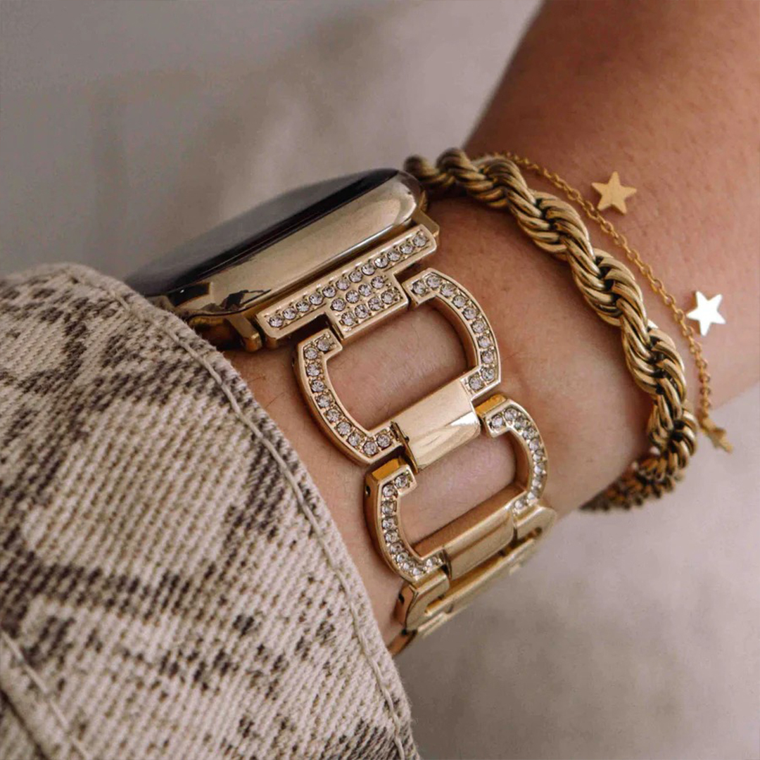 Echo Stainless Watch Apple Band