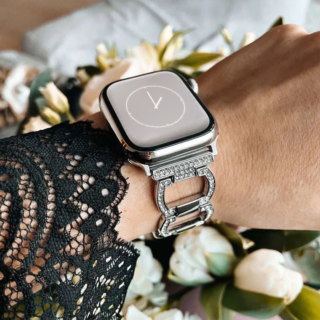 Echo Stainless Watch Apple Band