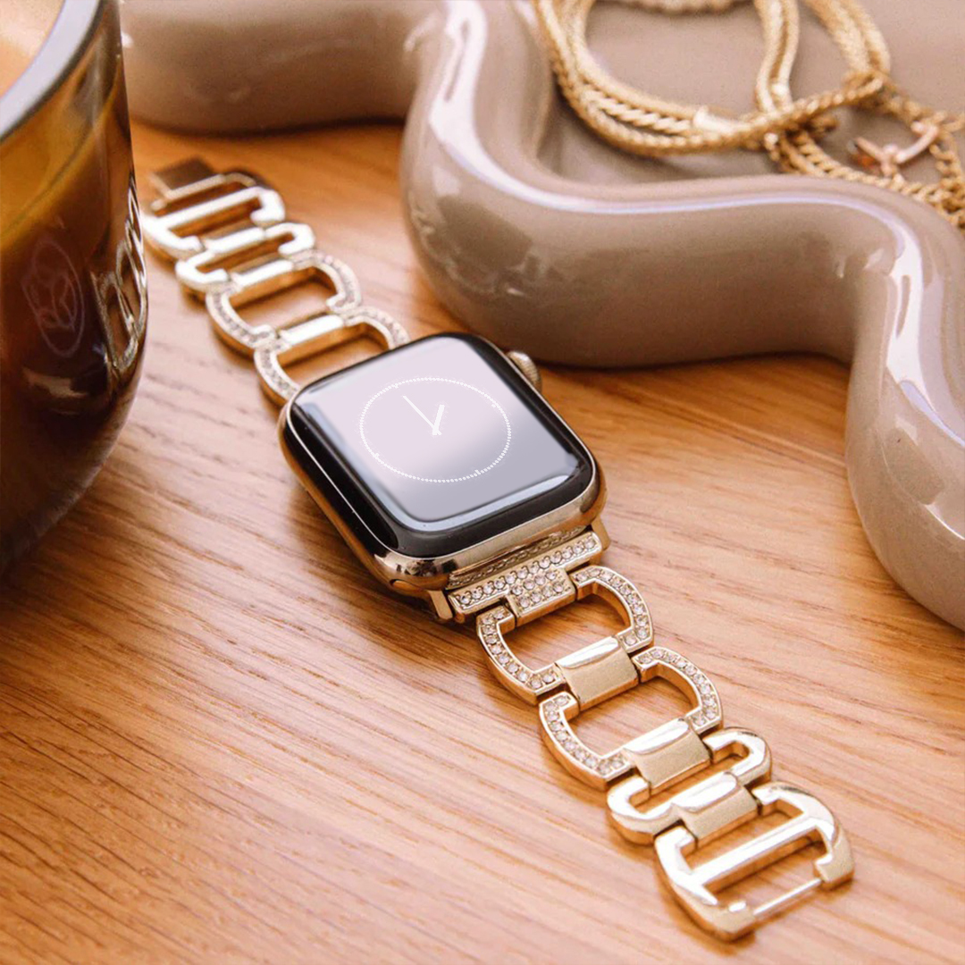 Echo Stainless Watch Apple Band