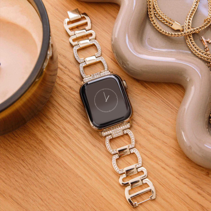 Echo Stainless Watch Apple Band