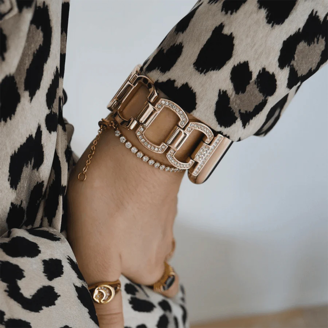 Echo Stainless Watch Apple Band