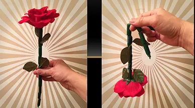 The Breakaway Flower  Trick by Alan Wong