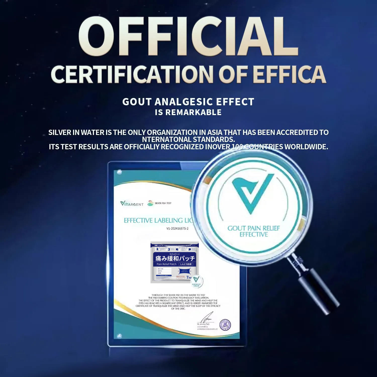 JINKUIBEN™ Natural Herbal Pain Relief Patches