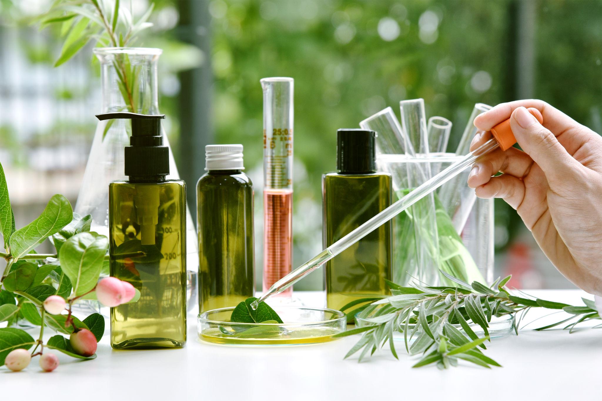 Scientist with natural drug research, Natural organic botany and scientific glassware, Alternative green herb medicine, Natural skin care beauty products, Research and development concept.