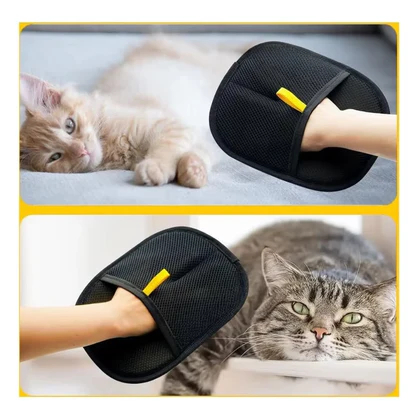 Pet Hair Removal Tools
