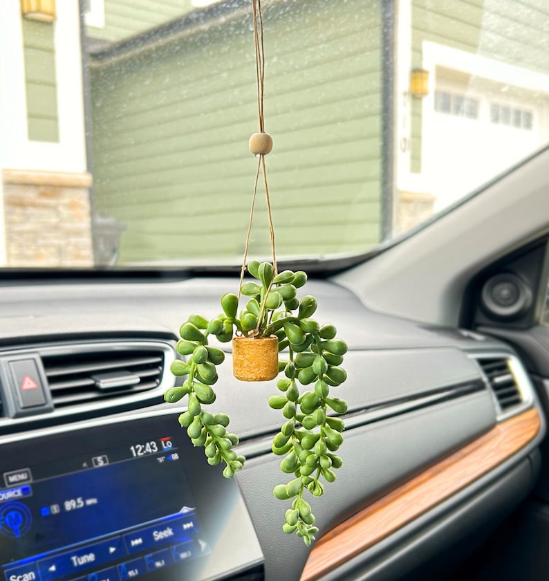 Car Plant Air Freshener, Car Hanging Air Freshener, Hanging Car Air Freshener, Boho Car Accessories, Plant Accessories, Hanging Car Diffuser image 4