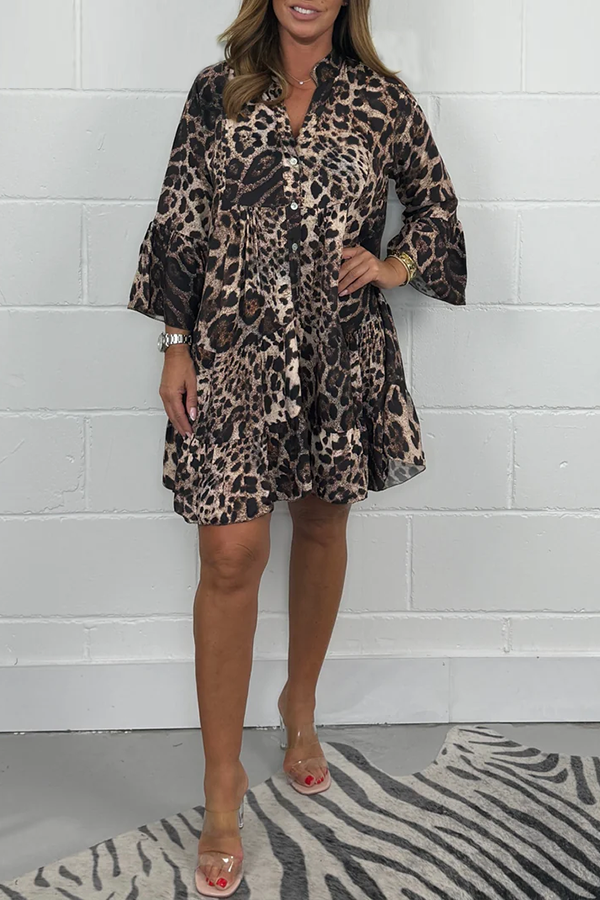 Leopard Print Swing Dress