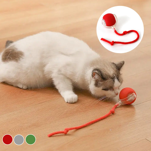 Interactive Cat Ball