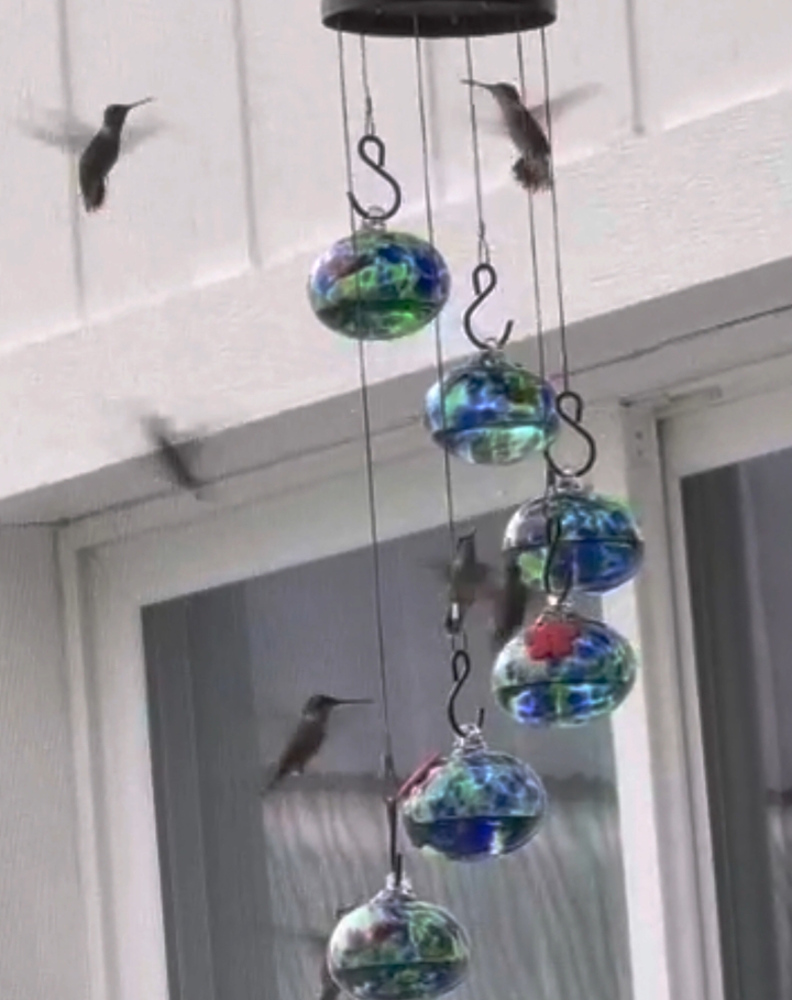 Charming Wind Chimes Hummingbird feeders