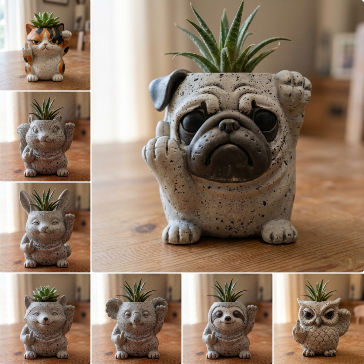 Funny Animal Succulent Planter – Cute Attitude Plant Pot