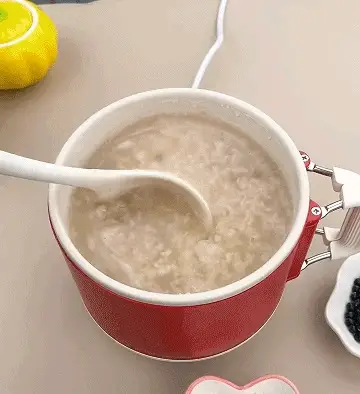 🌟Multifunctional Electric Cooker🌟