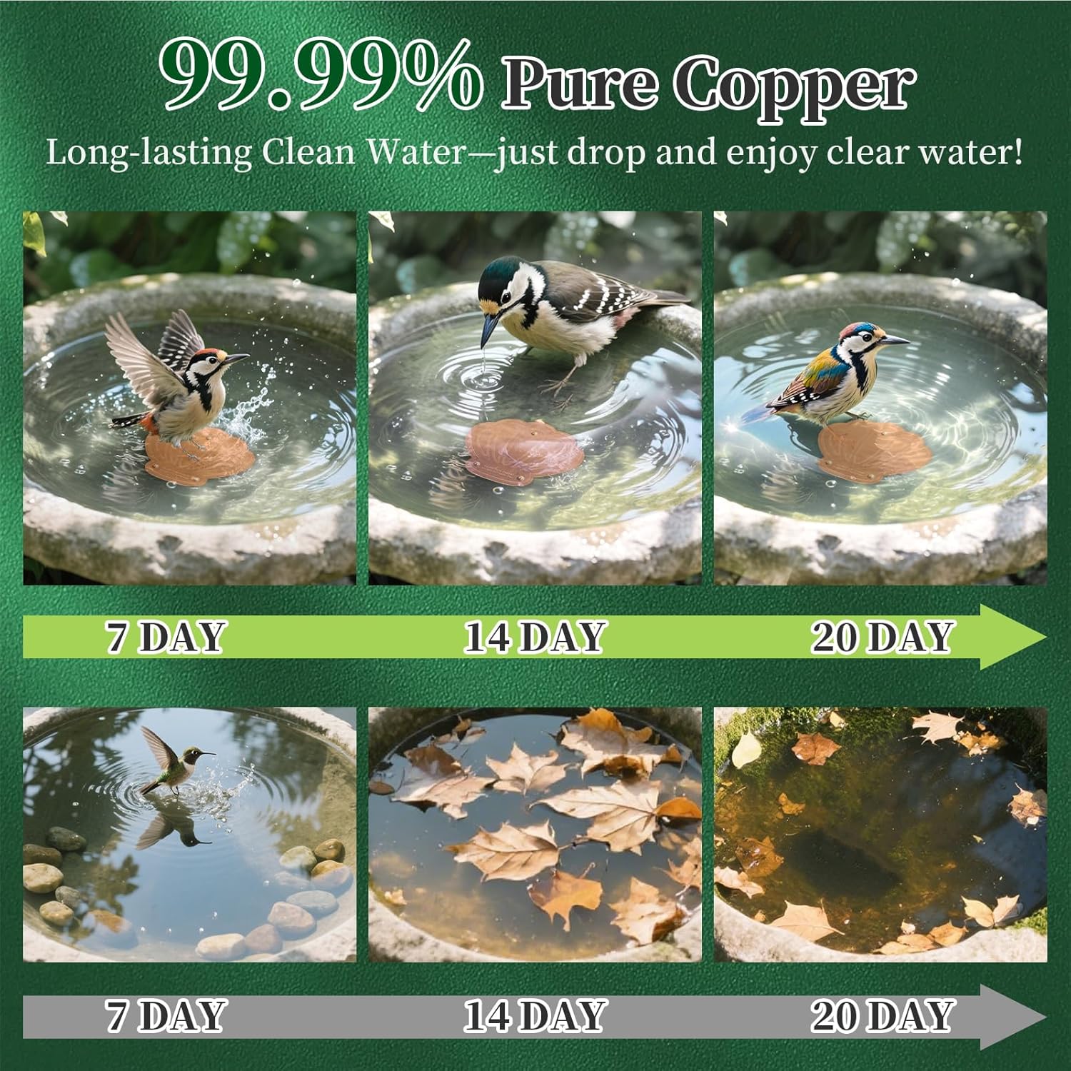 Bird Bath Copper Disk