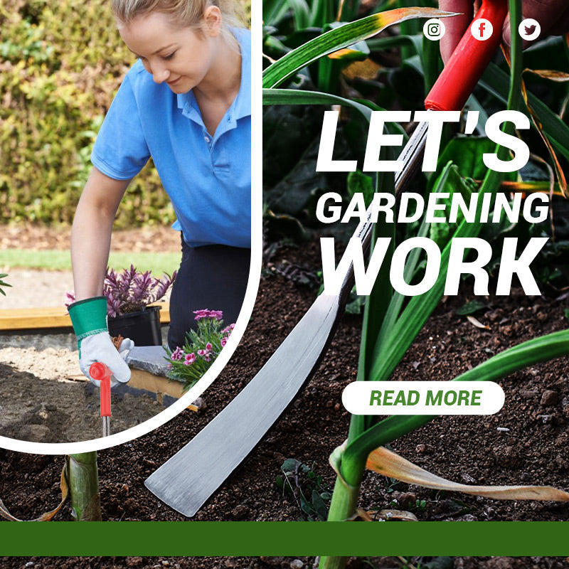 Gardening Transplant Seedlings Shovel