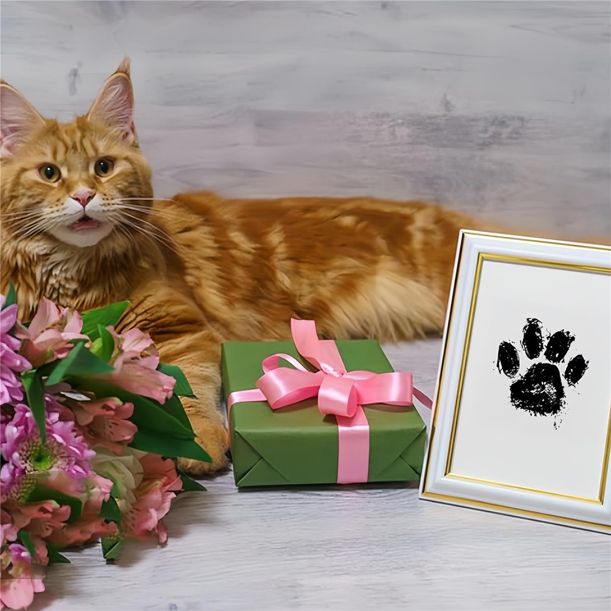 10 for $49.95 &Free Shipping💕Inkless No Mess Pet Paw Print Kit