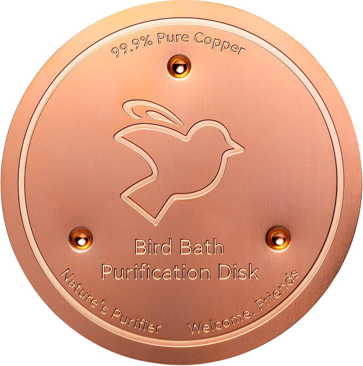 Bird Bath Copper Disk