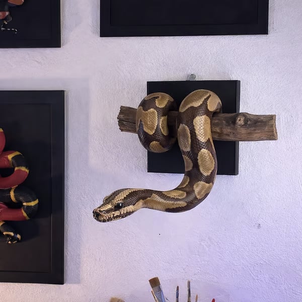 🐍💛 Golden Ball Python Wall Sculpture | Symbol of Strength & Prosperity