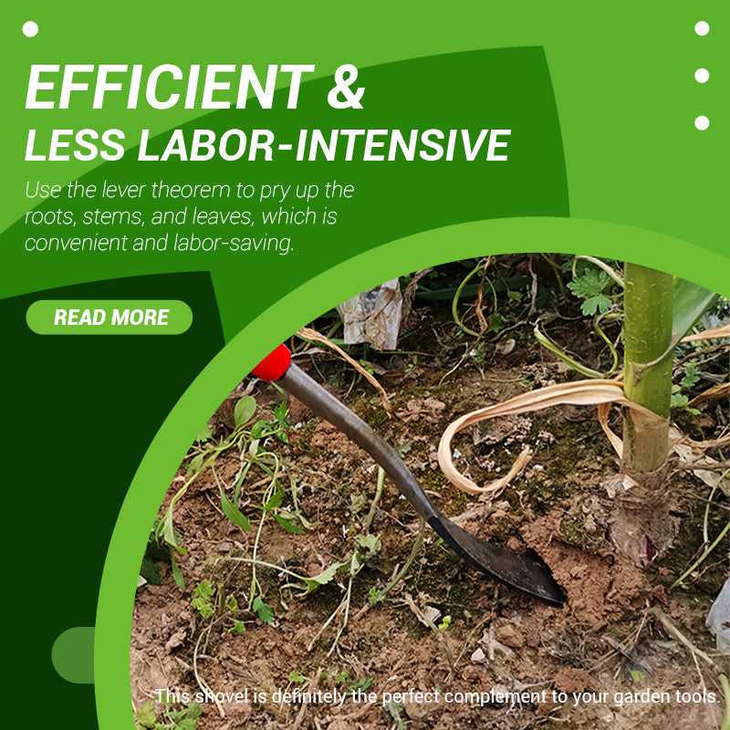 Gardening Transplant Seedlings Shovel