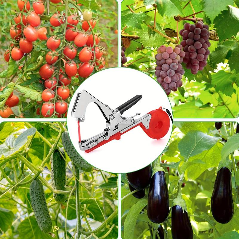 Plant Tying Machine For Grapes, Raspberries, Tomatoes, Vining Vegetables