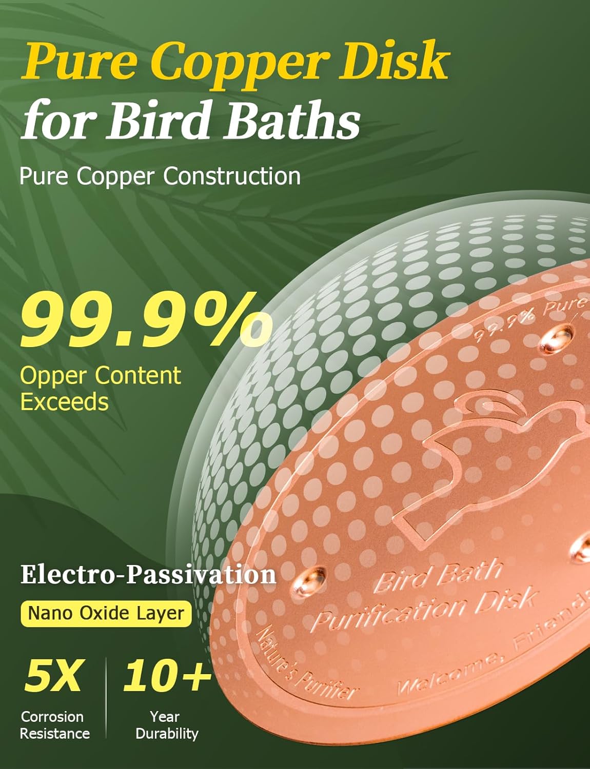 Bird Bath Copper Disk