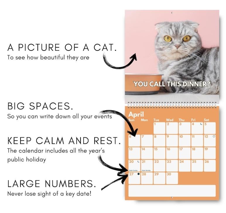 2025 Upset Cats Calendar – A Purrfectly Hilarious Way to Stay Organized!