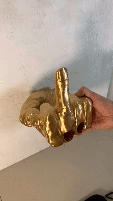 MIDDLE FINGER TOILET PAPER HOLDER