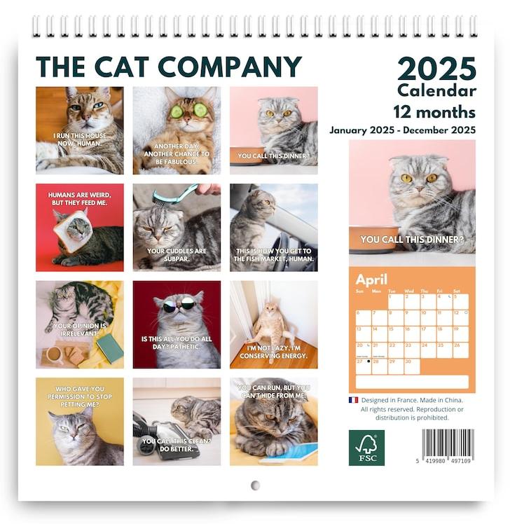 2025 Upset Cats Calendar – A Purrfectly Hilarious Way to Stay Organized!