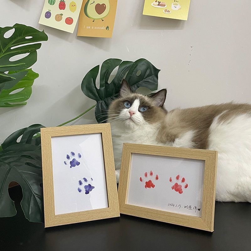 10 for $49.95 &Free Shipping💕Inkless No Mess Pet Paw Print Kit