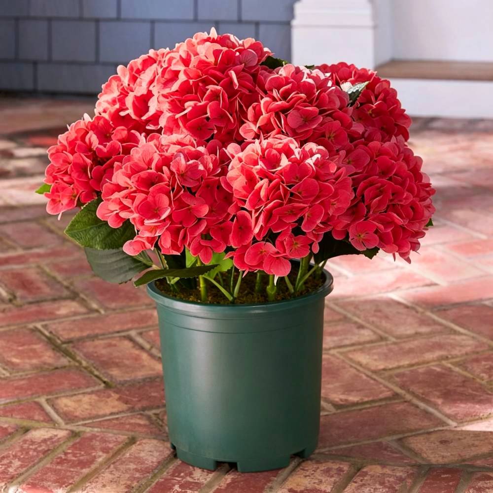 🔥Last Day 70% OFF💐Artificial Outdoor Hydrangea Flowers - UV resistant, Waterproof, Windproof-KOLAICH™