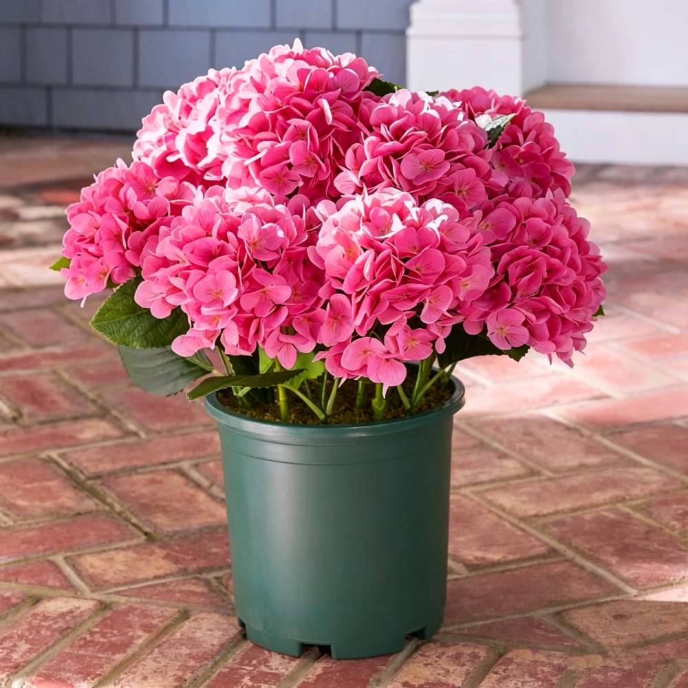 🔥Last Day 70% OFF💐Artificial Outdoor Hydrangea Flowers - UV resistant, Waterproof, Windproof-KOLAICH™