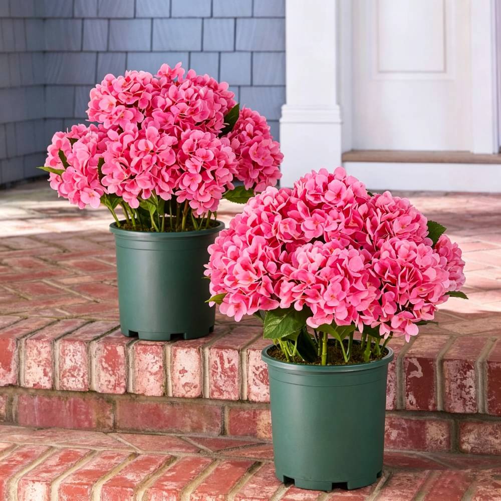 🔥Last Day 70% OFF💐Artificial Outdoor Hydrangea Flowers - UV resistant, Waterproof, Windproof-KOLAICH™