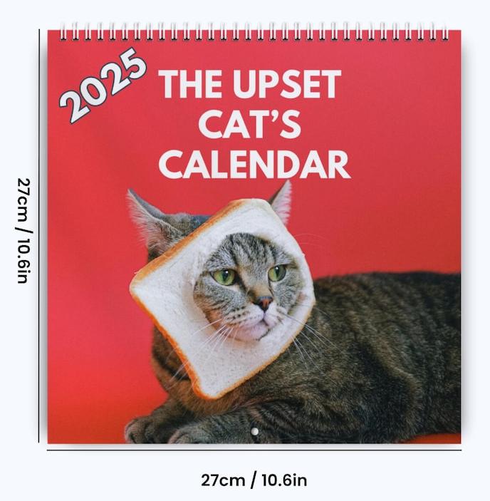 2025 Upset Cats Calendar – A Purrfectly Hilarious Way to Stay Organized!