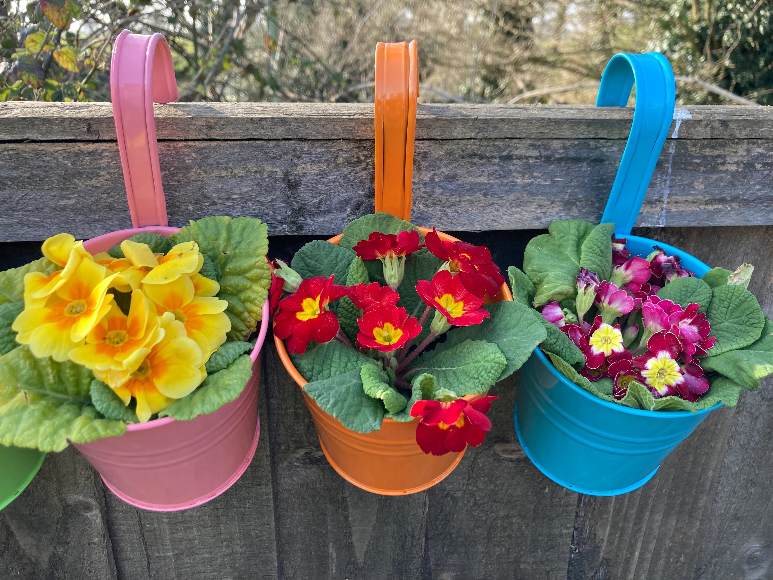 Hanging flower Pots-KOLAICH™