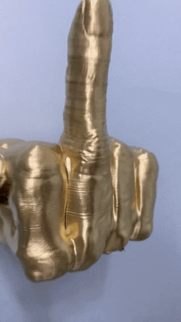 MIDDLE FINGER TOILET PAPER HOLDER