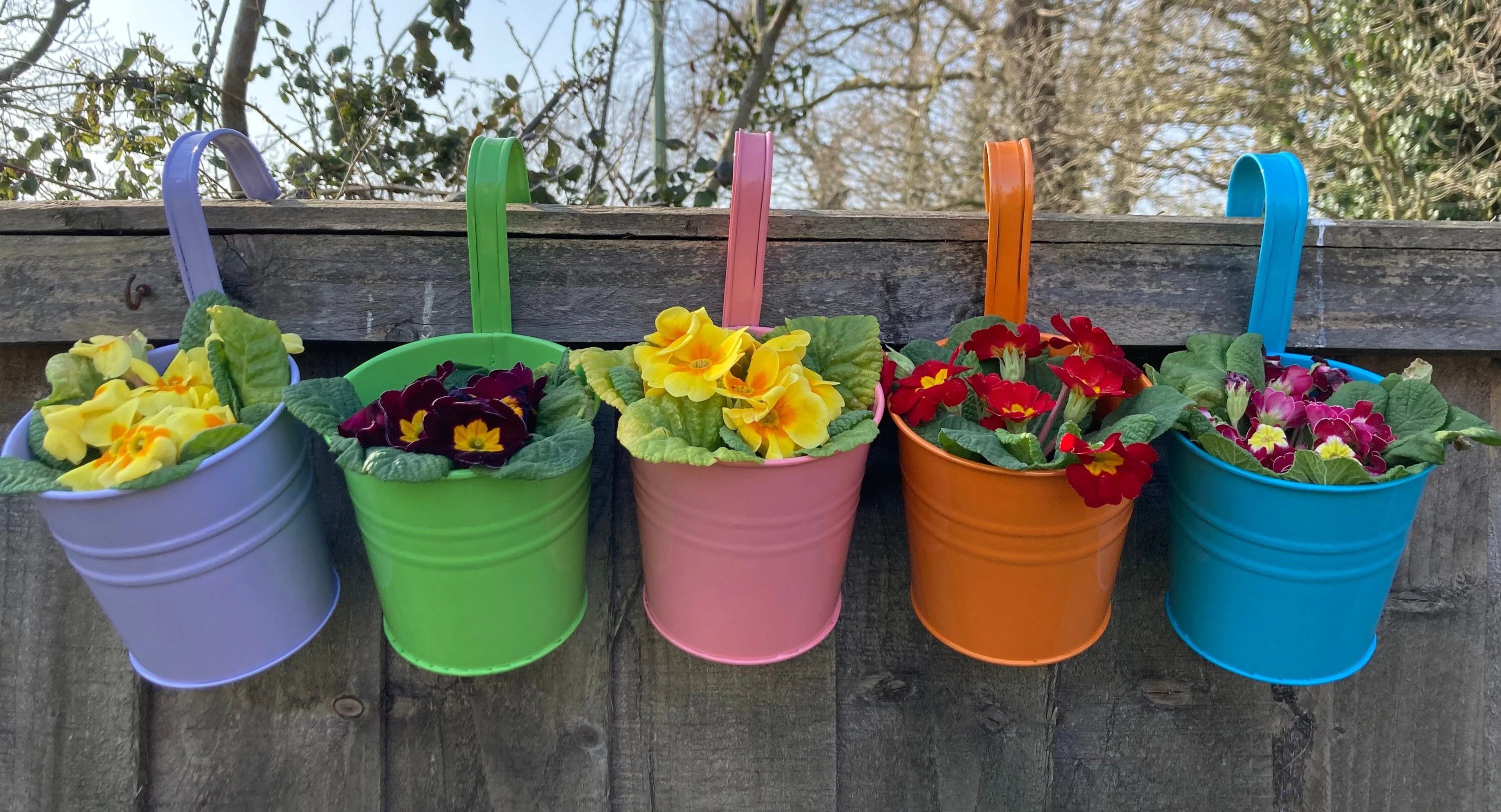 Hanging flower Pots-KOLAICH™
