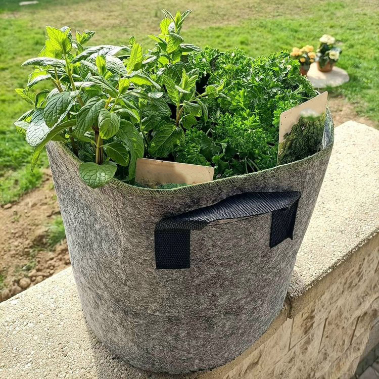 Micro-aerated geotextile planting bag