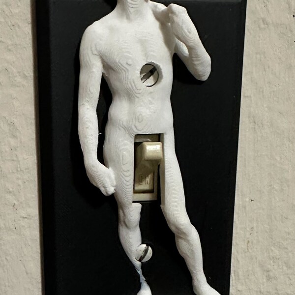 Michelangelo's David Funny Light Switch Cover - 3D David Sculpture Switch Plate Sophisticated Humor