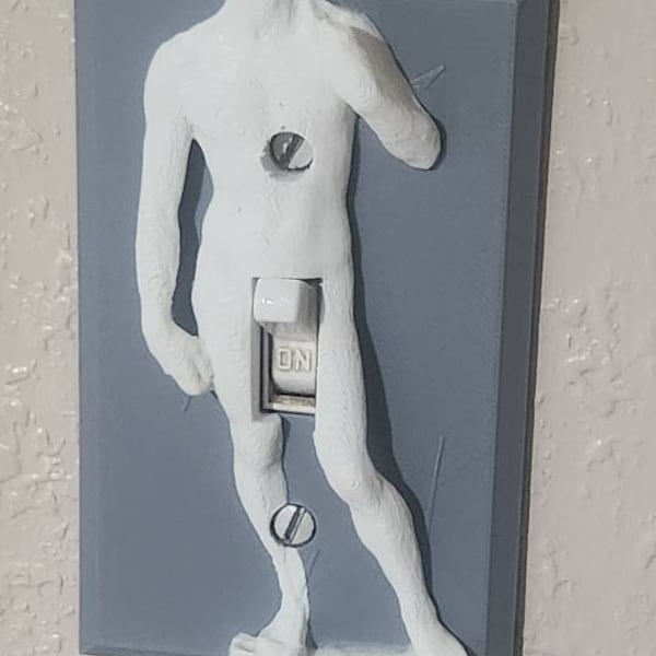 Michelangelo's David Funny Light Switch Cover - 3D David Sculpture Switch Plate Sophisticated Humor