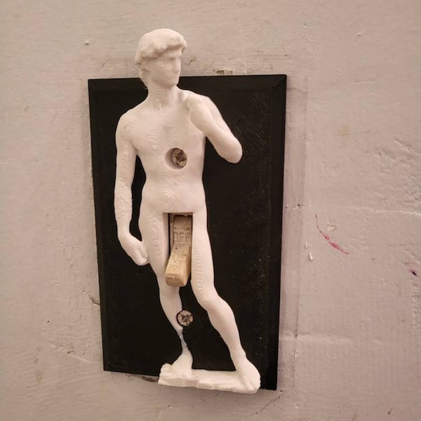 Michelangelo's David Funny Light Switch Cover - 3D David Sculpture Switch Plate Sophisticated Humor