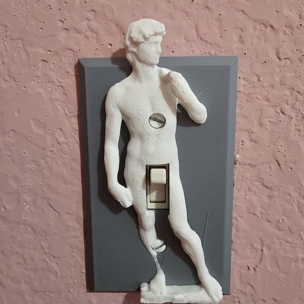 Michelangelo's David Funny Light Switch Cover - 3D David Sculpture Switch Plate Sophisticated Humor