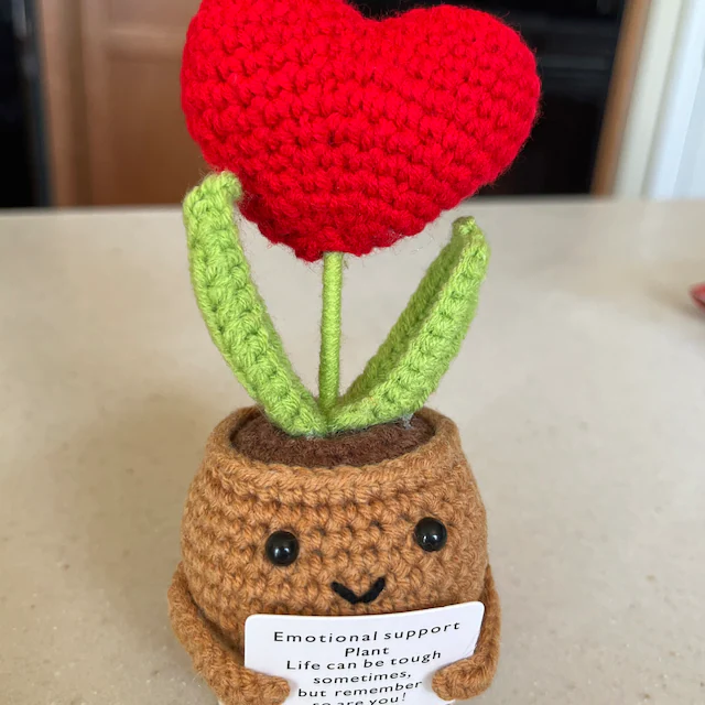 🎁Handmade Emotional Support Plant Gift