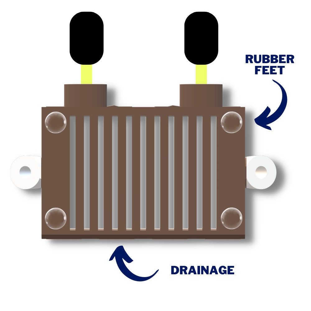 Bob The Sponge Holder