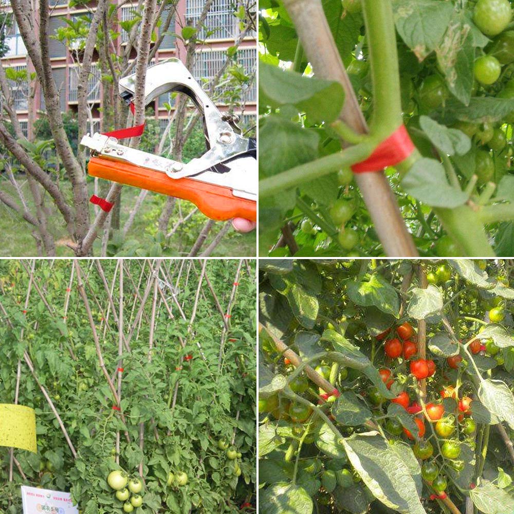 Plant Tying Machine For Grapes, Raspberries, Tomatoes, Vining Vegetables