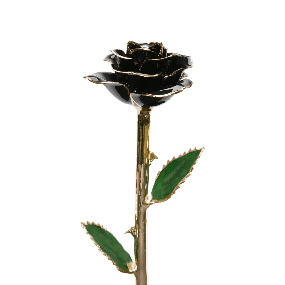 24k Gold Dipped Rose-KOLAICH™